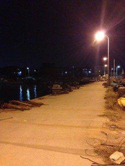 阪南エリアでアジング、コンスタントに釣れ続きました