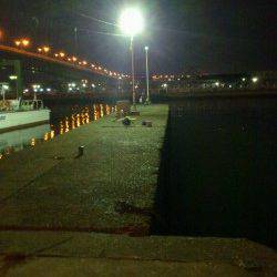 仕事終わりに岸和田でアジング〜アジ・セイゴ〜