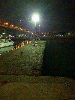 仕事終わりに岸和田でアジング〜アジ・セイゴ〜