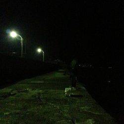 戎漁港　ジグヘッドにイシゴカイ使用で16目達成