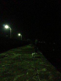 戎漁港　ジグヘッドにイシゴカイ使用で16目達成