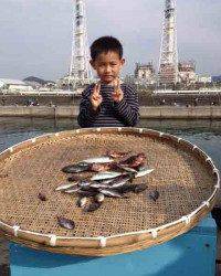 マリーナシティ お子様もサビキでアジ・ガシラ・グレ