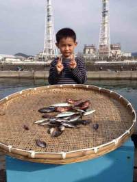 マリーナシティ お子様もサビキでアジ・ガシ…