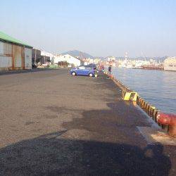 兵庫突堤ワインド＆サーベリングでタチウオ8本！！