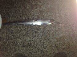 西宮でタチウオワインド、指4本サイズ