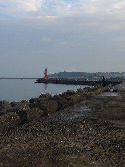 深日港でキス狙い　そろそろカレイにシフトですね