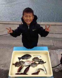 和歌山マリーナシティ、さびきででっかいグレ！