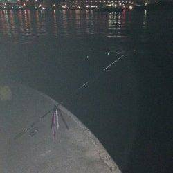 食コンでウキ釣り、お子様も穴子に大興奮！