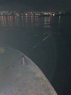 食コンでウキ釣り、お子様も穴子に大興奮！