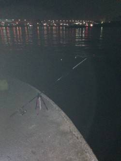 食コンでウキ釣り、お子様も穴子に大興奮！