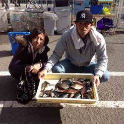 マリーナシティ海釣り公園、サビキとハゲ掛けで五目達成！