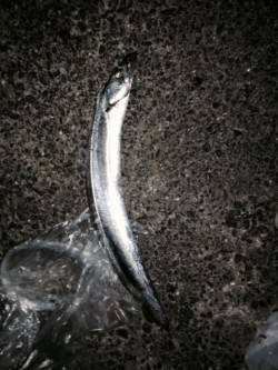 5秒カウントでゆっくりしゃくりが今日のあた…