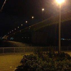 コンスタントに釣れ続けました、岸和田でアジング