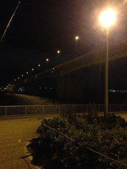 コンスタントに釣れ続けました、岸和田でアジング