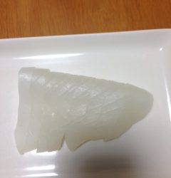 とっとパーク小島でアオリイカ3バイ