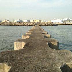 武庫川河口　サビキでのアジ狙いは不発　カタクチイワシの釣果