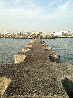 武庫川河口　サビキでのアジ狙いは不発　カタクチイワシの釣果