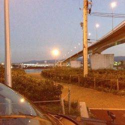 岸和田でアジング　10m移動の繰り返しでコンスタントな釣果