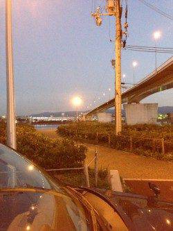 岸和田でアジング　10m移動の繰り返しでコンスタントな釣果