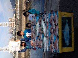 マリーナシティ海釣り公園　マダイ・ブリ・メジロ楽しめる