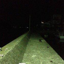 目良漁港でアジング〜ワインド　ただいまタチウオが快釣！