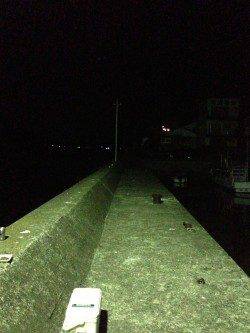 目良漁港でアジング〜ワインド　ただいまタチウオが快釣！