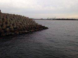 武庫川河口で落とし込み、15センチほどのここらでは珍しい魚