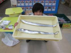 夕方の時合にタチウオ2本連続ヒット、日中は…