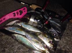 大阪南港、デカアジが回ってきて良い感じ♪