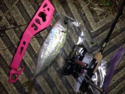 大阪南港27cmのデカアジ！！