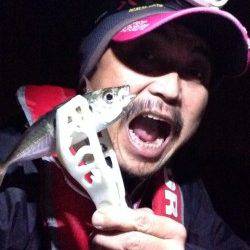 大阪南港、アジいい感じで釣れています!