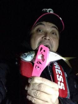 大阪南港、7日夜は激シブでした・・・