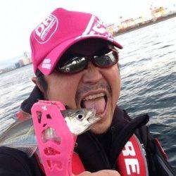 舞洲でのアジング釣果