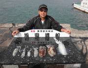 黒島の磯でエギング、パープルのエギで釣果あ…