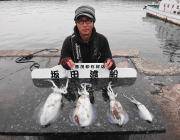 ヤエンでアオリイカ1.3kg