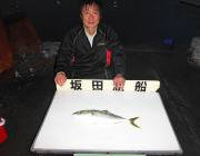 鷹島のカンドリでハマチをキャッチ