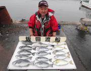 グレ・チヌ・アイゴの釣果　黒島の磯