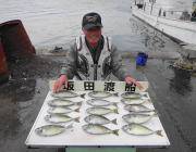 グレ・チヌ・アイゴの釣果　黒島の磯