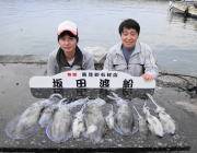 【3日】ヤエンのアオリイカ釣果