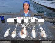 黒島の磯のエギング　1キロクラスがのってい…