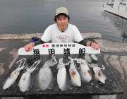 ヤエン釣法で1.0㎏までのアオリイカを９ハ…