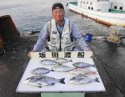 黒島の筏でチヌ・マダイ・アイゴ