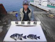 黒島の磯で底物釣り！石鯛に穴子