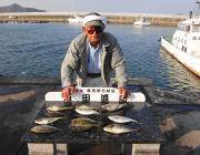 酒かすでアイゴ大漁！黒島の磯での釣果