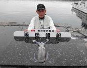 黒島の筏でアオリイカ！活けアジを使ったウキ…