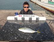 黒島の磯でルアーでハマチの釣果