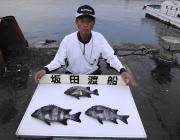 黒島の磯でサワラ・ヒラスズキ・ハマチ