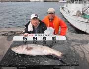 のませでスズキ80㎝！！ 黒島の磯