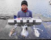 【12日】黒島の筏のヤエン釣果