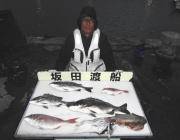 黒島のイカダで～48㎝のチヌ、他マダイ・ア…